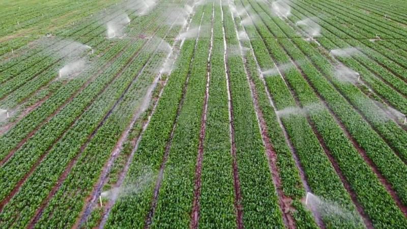 Large farmland sprinkler systems
