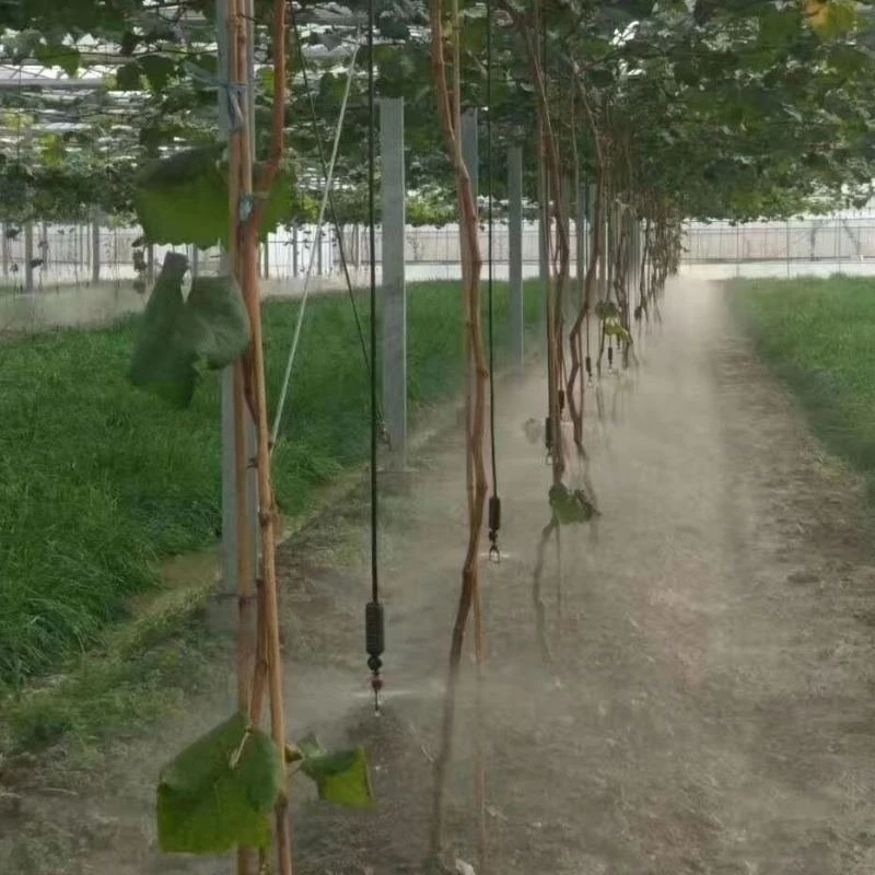 micro-sprinkler-irrigation-system