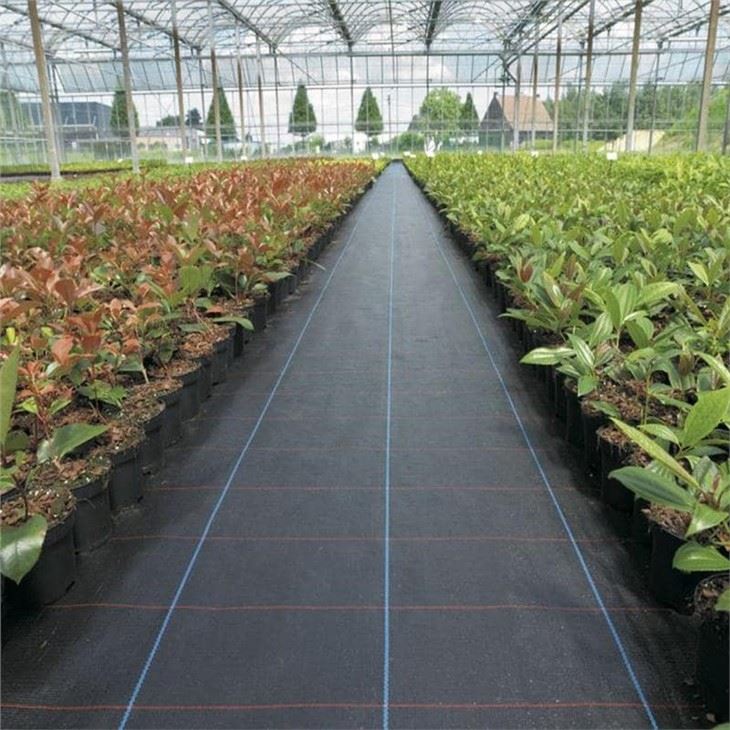 Black Plastic Weed Barrier