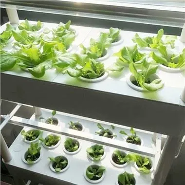 4- مجموعة أدوات الزراعة المائية المزودة بأضواء LED