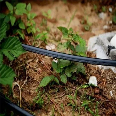 أنبوب الري بالتنقيط المتاهة