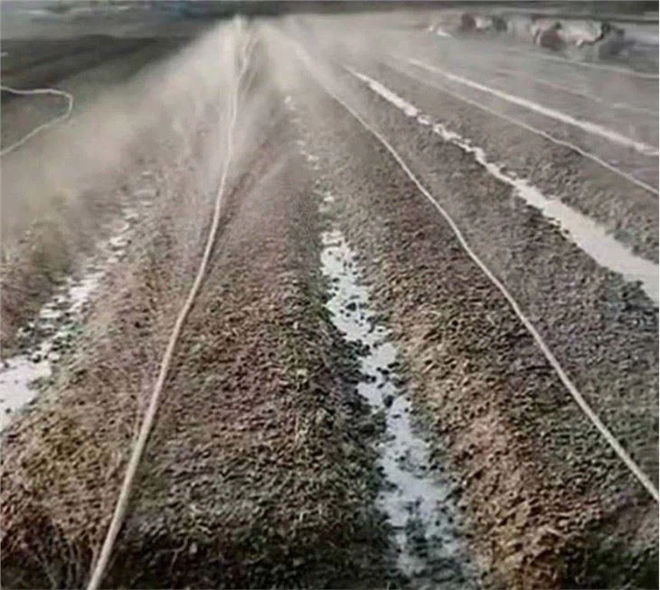 sprink-hose-irrigation-min