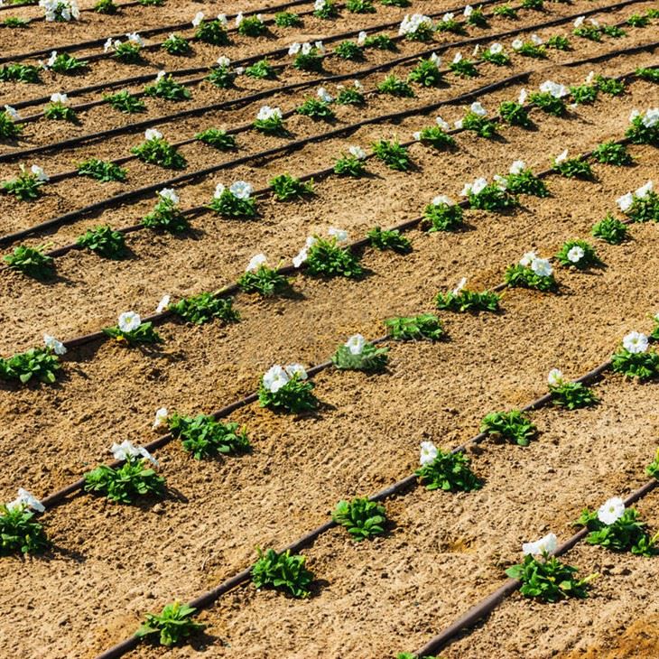 Farm 16mm Drip Irrigation Pipe Tube Hose Drip Line