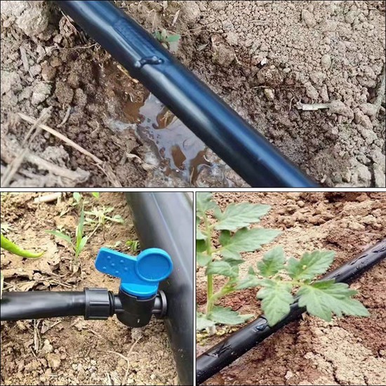 drip tape irrigation drip tape irrigation